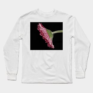 Pink Gerbera Daisy Long Sleeve T-Shirt